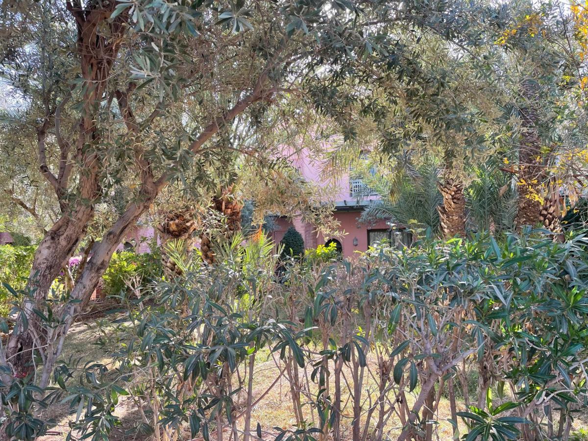 Appartement Au Coeur De La Palmeraie De Marrakech Marrakesh